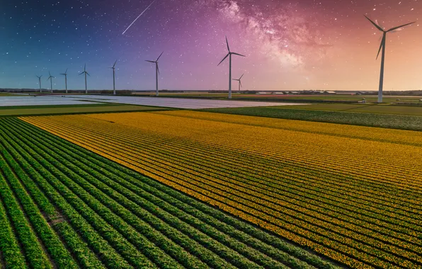 Field, the sky, clouds, flowers, strip, view, spring, dal