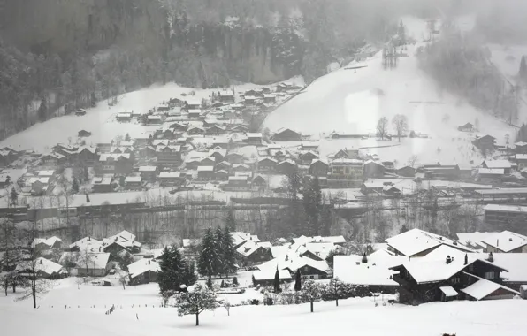 Picture Winter, Panorama, Village, Frost, Blizzard, Winter, Frost, Snow