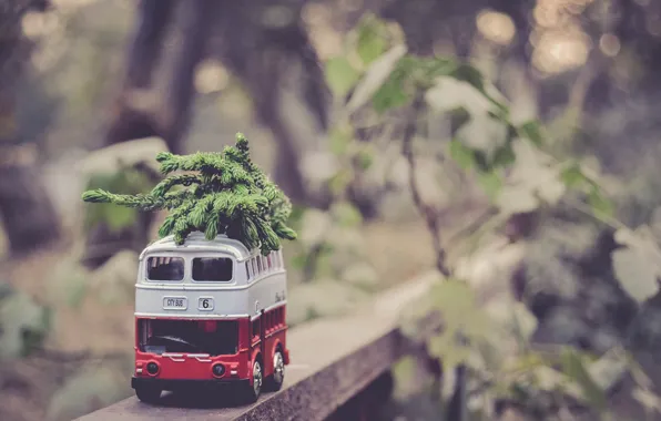 Toy, bus, bokeh, model, spruce branches