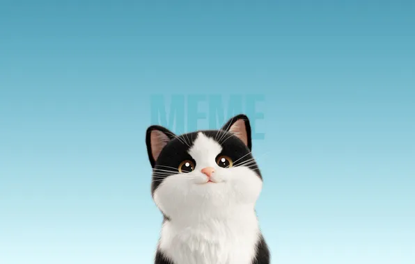 Picture Meme, Cartoon, Cute Cat, Blue background