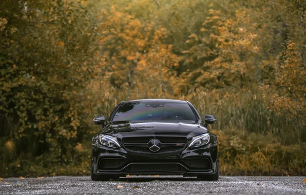 Picture Mercedes, Front, AMG, Black, Autumn, C63, Face, W205