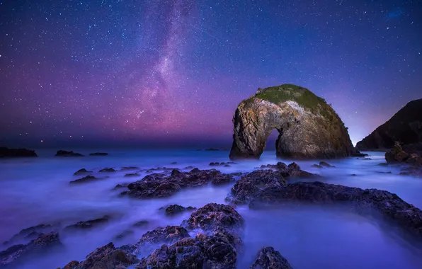 Australia, The Milky Way, Australia, Milky Way, New South Wales, New South Wales, Horse Head …