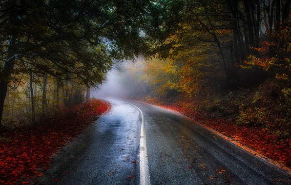 Road, autumn, forest, leaves, trees, nature, Park, colors