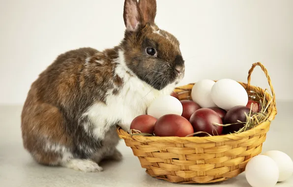 Table, holiday, eggs, spring, rabbit, Easter, straw, white