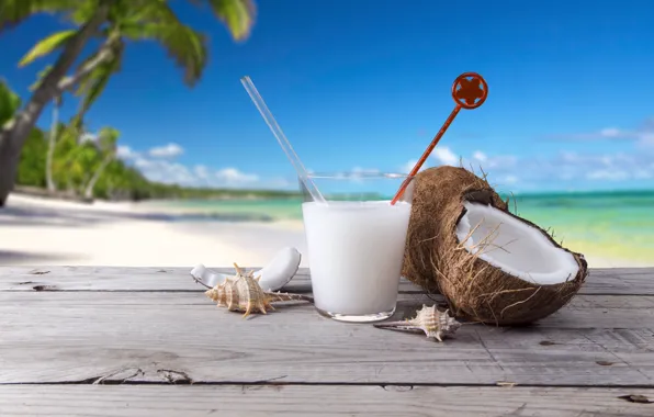 Picture sea, beach, palm trees, coconut, cocktail, shell