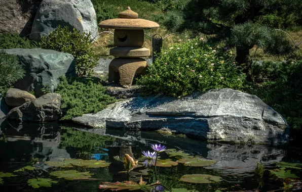 Picture pond, stones, decor