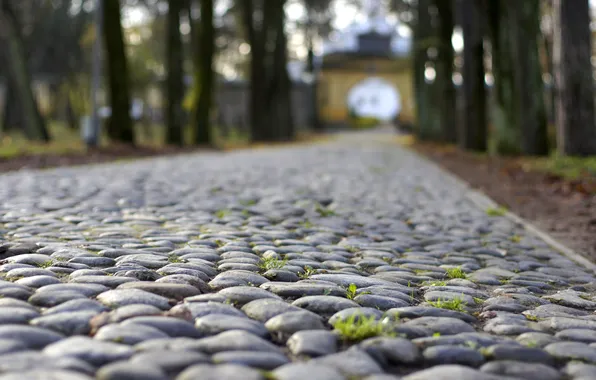 Road, autumn, Park, stones, arch, Arkhangelsk
