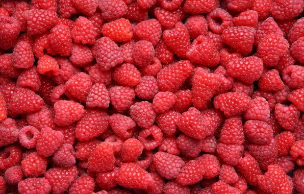 Picture berries, raspberry, food, a lot
