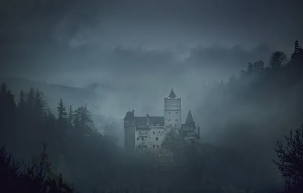 The sky, trees, fog, Romania, medieval architecture, Bran Castle