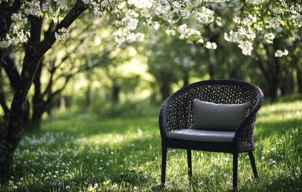 Greens, grass, light, trees, flowers, branches, comfort, lawn