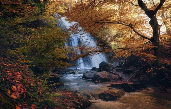 Picture autumn, forest, river, stones, waterfall, Russia, Crimea, The Gorge Haphal
