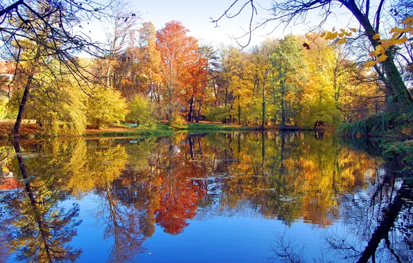 Picture autumn, leaves, trees, bench, pond, Park, reflection