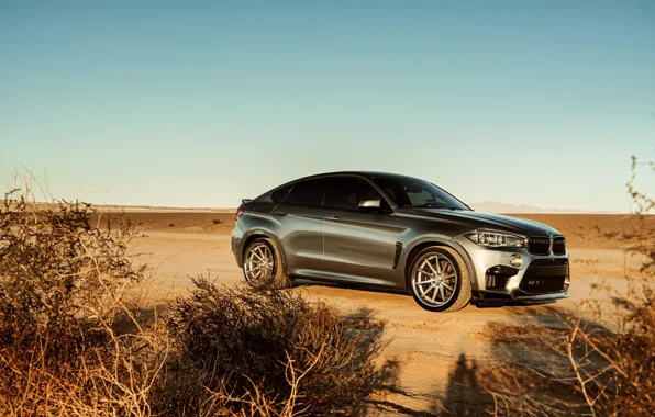 Picture design, desert, BMW X6M