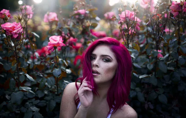 Girl, flowers, Bush, roses, freckles, crimson hair