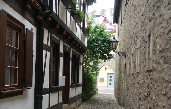 Picture Germany, Street, The building, Germany, Street, Erfurt, Erfurt