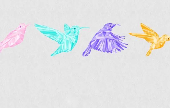 Picture flight, bird, graphics, color, frame, Hummingbird