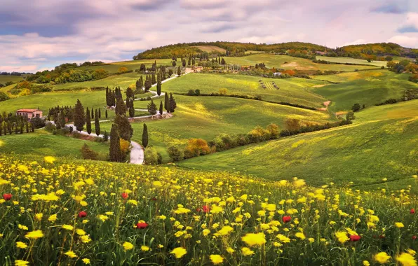 Road, summer, flowers, mountains, hills, field, Italy, houses