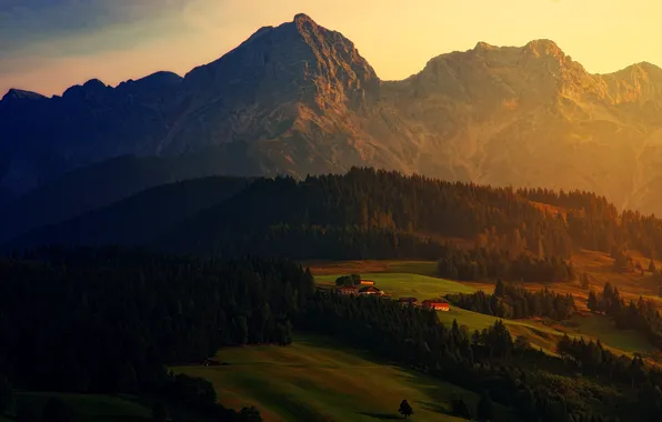 Field, forest, landscape, sunset, mountains, nature, height, the evening