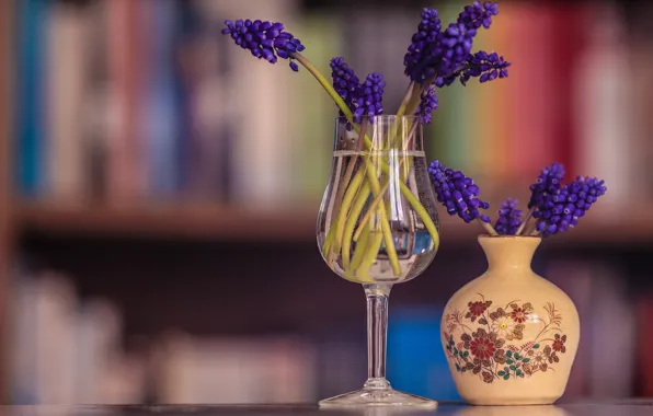 Glass, water, flowers, glass, books, bouquet, spring, purple