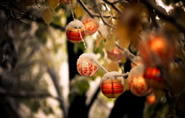 Picture NATURE, SNOW, LEAVES, AUTUMN, BRANCH, LANTERNS