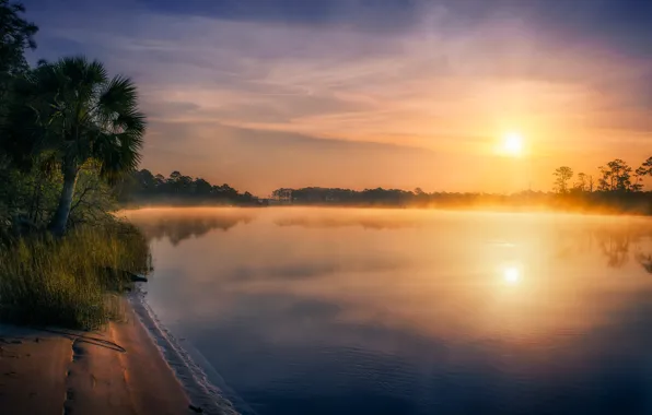 The sun, fog, shore, pond