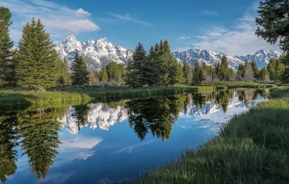 Water, Reflection, Mountains, Grass, Bank, Needles, Duct, Water Mirror
