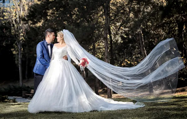 Pose, holiday, dress, lovers, the bride, veil, wedding, the groom