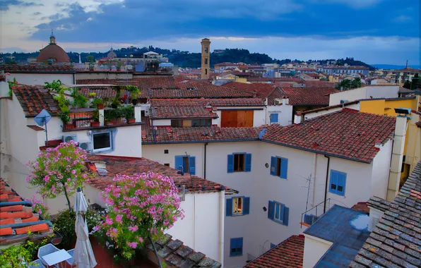 Picture roof, the sky, home, yard, Italy, the dome