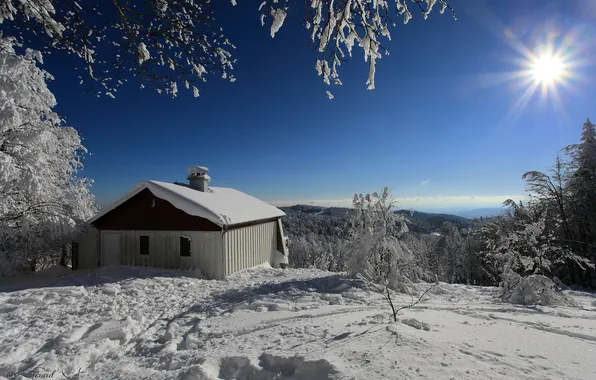 Winter, the sun, snow, house, frost