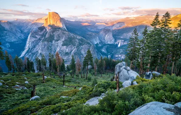 Picture Nature, Mountains, Forest, Landscape, Valley