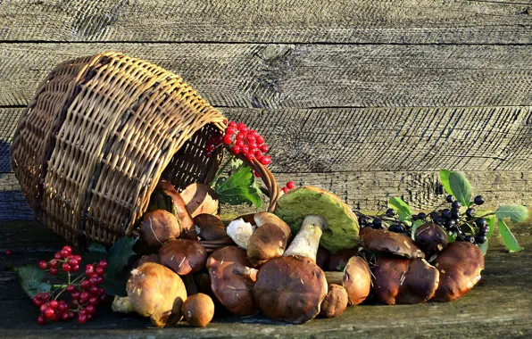 Picture berries, mushrooms, still life, Kalina, basket