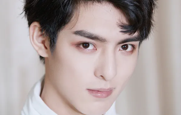 Look, portrait, makeup, actor, hairstyle, makeup, chinese actor, Wang Hao Xuan