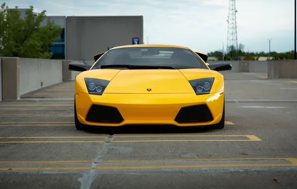 Picture Lamborghini, Murcielago, Yellow, LP640