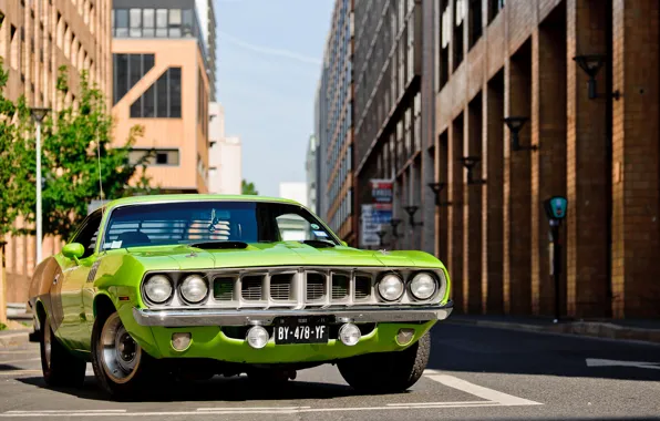 Picture green, green, 1971, Barracuda, Plymouth, Plymouth