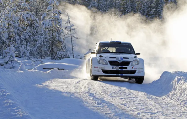 Winter, Snow, Sport, Turn, Day, Car, WRC, Rally