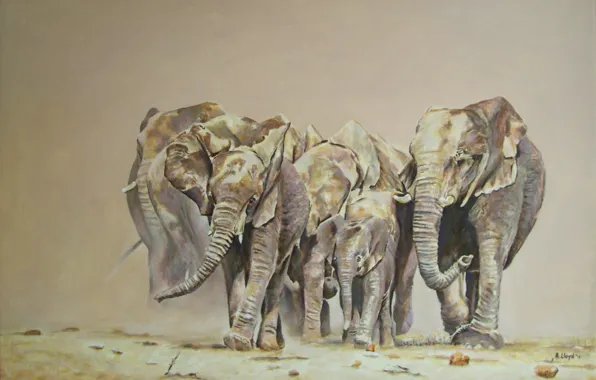 Animal, elephant, painting