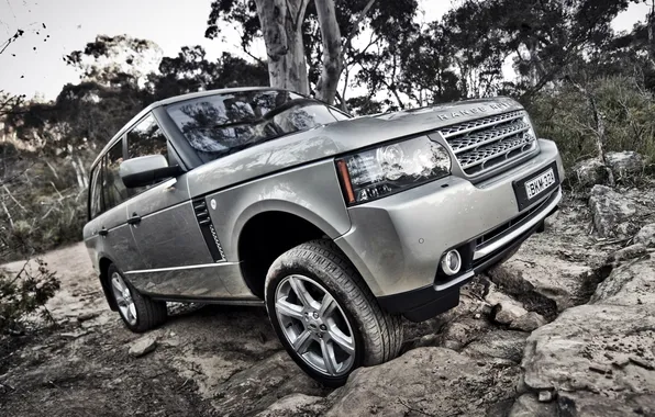 Picture trees, stones, jeep, Land Rover, Range Rover, the front, Range Rover, Land Rover