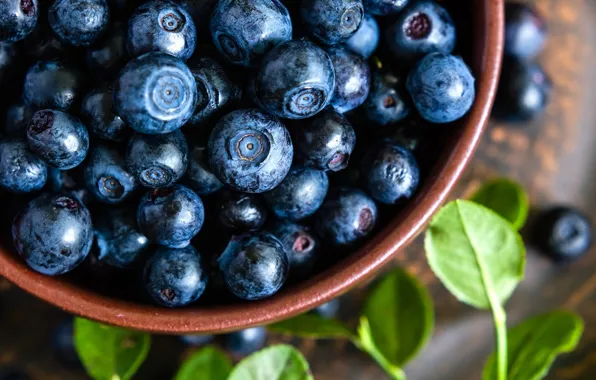 Berries, blueberries, bowl, fresh, blueberry, blueberries, berries