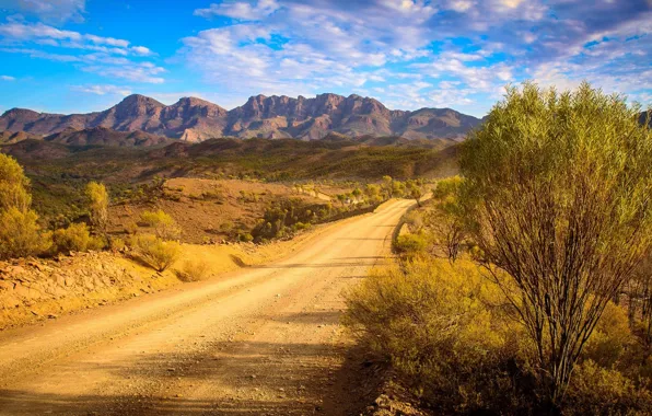 Road, mountains, plant