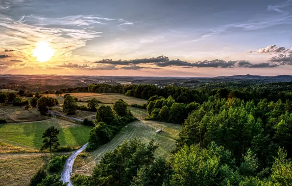 Field, forest, the sky, the sun, clouds, landscape, sunset, nature