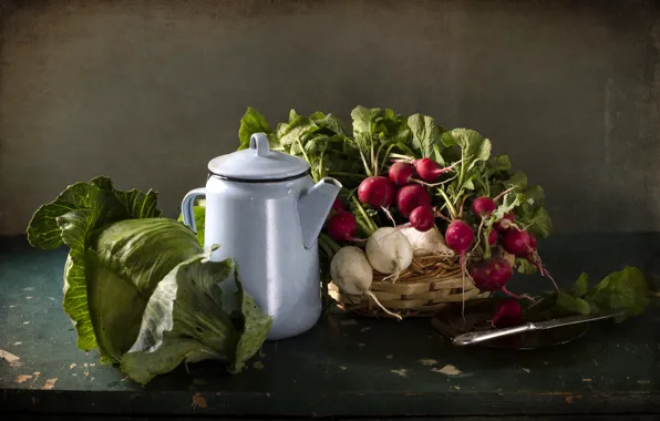 Picture kettle, knife, still life, vegetables, cabbage, radishes, radish