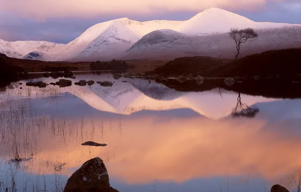 Picture stones, mountain, Snow