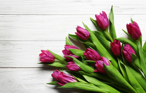 Picture flowers, bouquet, tulips, wood, flowers, tulips, spring, purple