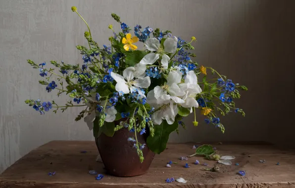 Flowers, Board, bouquet, Veronica, spring, yellow, petals, blue