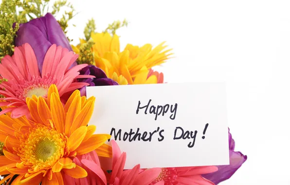 Love, flowers, gerbera