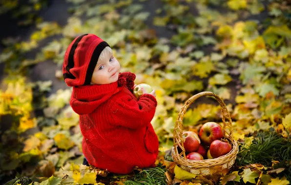 Autumn, look, leaves, Park, basket, apples, child