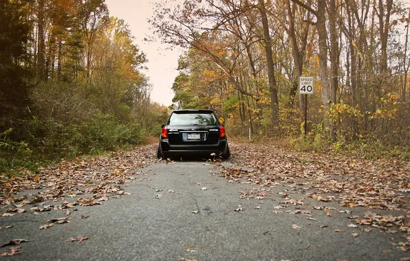 Picture autumn, foliage, Subaru, black, Subaru, stance, Outback