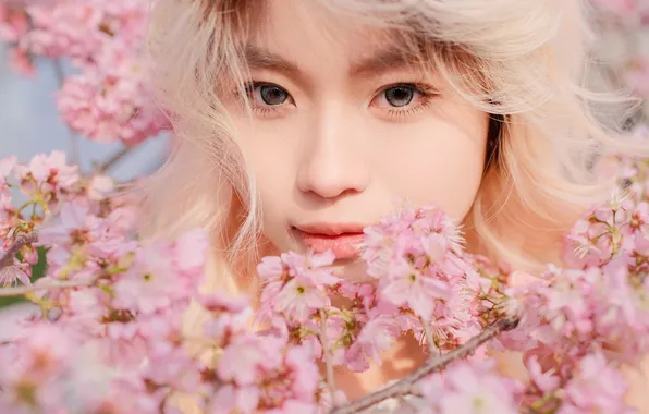 Beautiful, Asian, Model, Tree, Flowers, Smile, Blonde, Woman