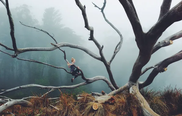 Picture girl, forest, fog, branches