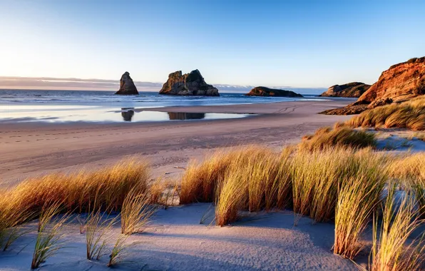 Picture beach, sky, sea, landscape, coast, New Zealand, nature, rocks